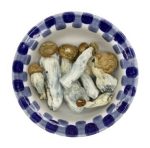 A ceramic bowl with a blue and white checked rim contains a variety of Penis Envy mushrooms of different shapes and sizes, predominantly in shades of white and brown.